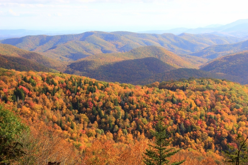 Осень в золоте и багрянце не стеснялась восхищать. Blue Ridge Parkway. 18-22 октября 2016 года.