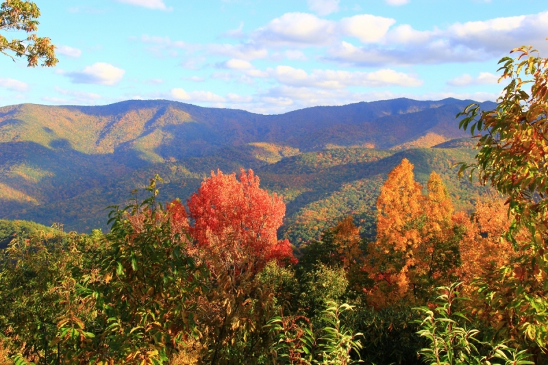 Осень в золоте и багрянце не стеснялась восхищать. Blue Ridge Parkway. 18-22 октября 2016 года.