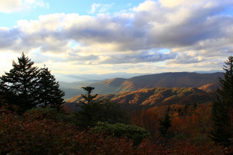 Осень в золоте и багрянце не стеснялась восхищать. Blue Ridge Parkway. 18-22 октября 2016 года.