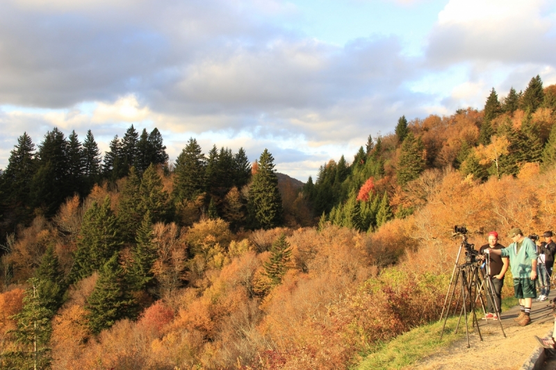 Осень в золоте и багрянце не стеснялась восхищать. Blue Ridge Parkway. 18-22 октября 2016 года.