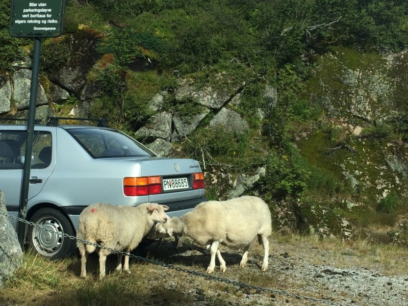 Норвегия - место, куда я непременно вернусь
