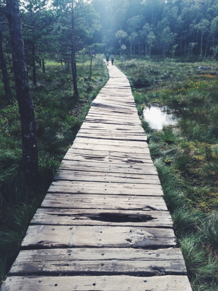 Норвегия - место, куда я непременно вернусь