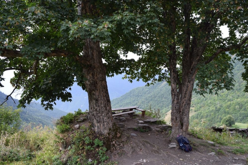 Чайный трекинг в Грузии. Хеви-Хевсурети, Тбилиси, Сванетия, сентябрь 2017