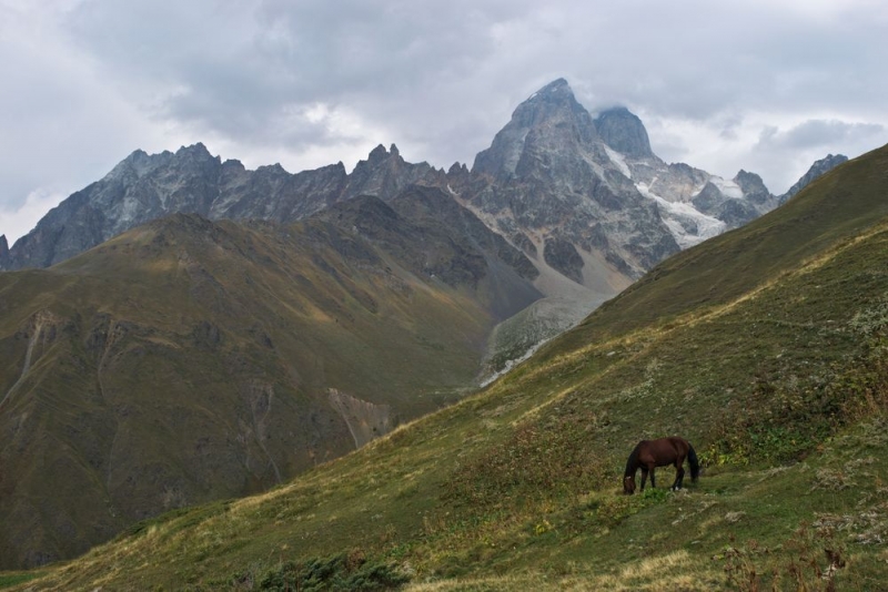 Чайный трекинг в Грузии. Хеви-Хевсурети, Тбилиси, Сванетия, сентябрь 2017