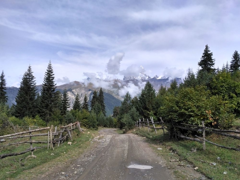 Чайный трекинг в Грузии. Хеви-Хевсурети, Тбилиси, Сванетия, сентябрь 2017