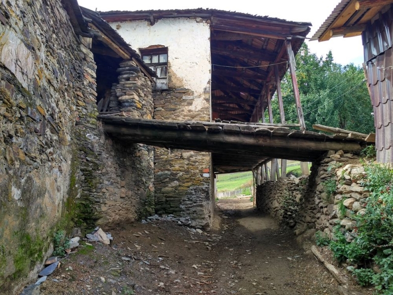 Чайный трекинг в Грузии. Хеви-Хевсурети, Тбилиси, Сванетия, сентябрь 2017