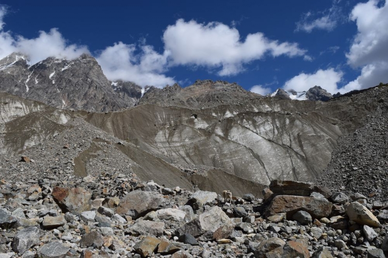 Чайный трекинг в Грузии. Хеви-Хевсурети, Тбилиси, Сванетия, сентябрь 2017