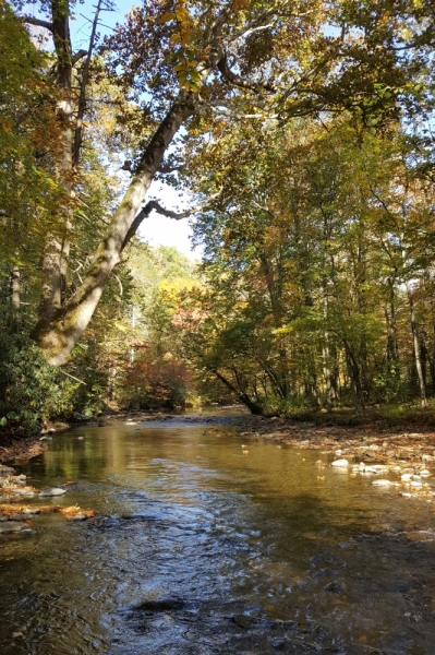 Осень в золоте и багрянце не стеснялась восхищать. Blue Ridge Parkway. 18-22 октября 2016 года.