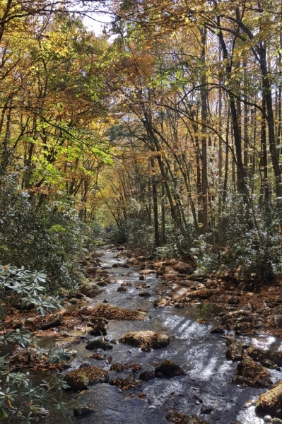 Осень в золоте и багрянце не стеснялась восхищать. Blue Ridge Parkway. 18-22 октября 2016 года.