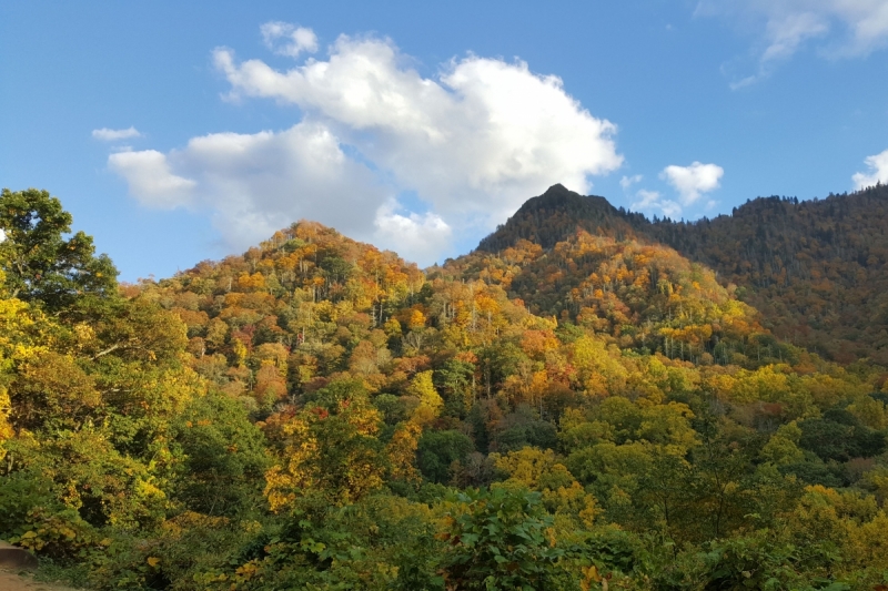 Осень в золоте и багрянце не стеснялась восхищать. Blue Ridge Parkway. 18-22 октября 2016 года.