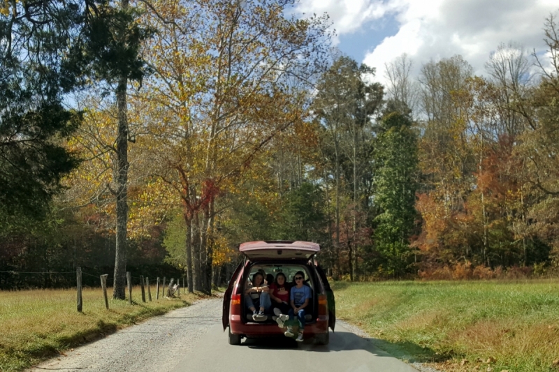 Осень в золоте и багрянце не стеснялась восхищать. Blue Ridge Parkway. 18-22 октября 2016 года.