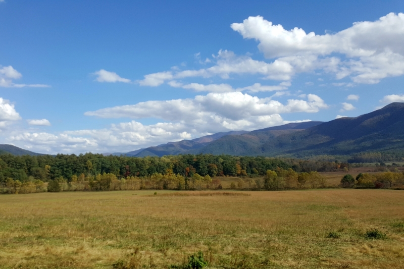 Осень в золоте и багрянце не стеснялась восхищать. Blue Ridge Parkway. 18-22 октября 2016 года.