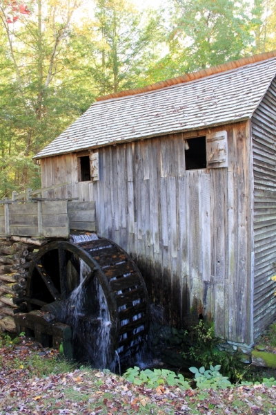 Осень в золоте и багрянце не стеснялась восхищать. Blue Ridge Parkway. 18-22 октября 2016 года.