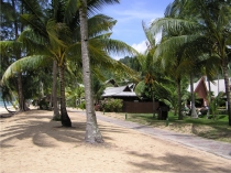 Malaysia: Kuala Lumpur and Tioman from Indomilk Malaysia: Kuala Lumpur and Tioman from Indomilk