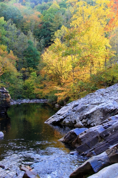 Осень в золоте и багрянце не стеснялась восхищать. Blue Ridge Parkway. 18-22 октября 2016 года.