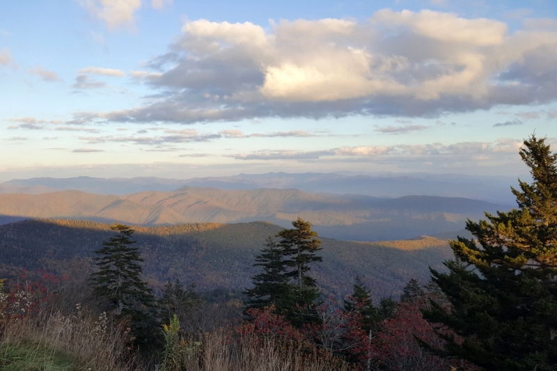 Осень в золоте и багрянце не стеснялась восхищать. Blue Ridge Parkway. 18-22 октября 2016 года.