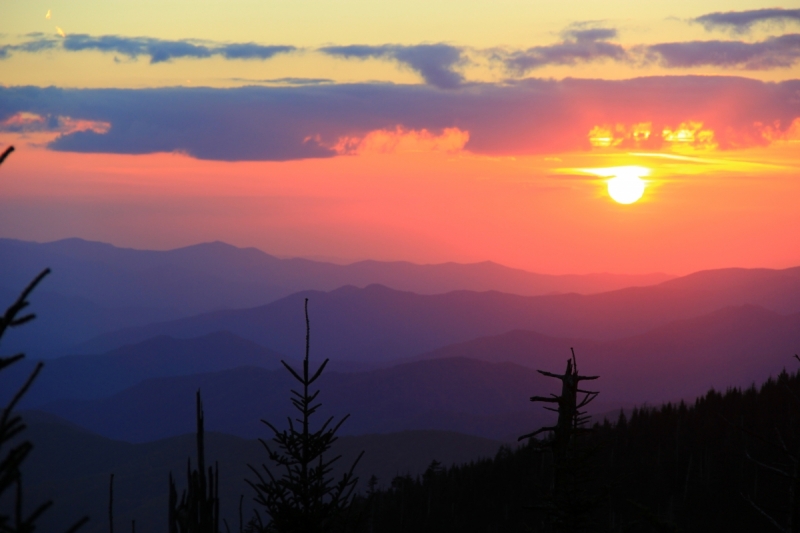 Осень в золоте и багрянце не стеснялась восхищать. Blue Ridge Parkway. 18-22 октября 2016 года.