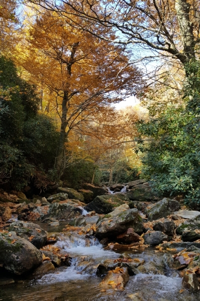 Осень в золоте и багрянце не стеснялась восхищать. Blue Ridge Parkway. 18-22 октября 2016 года.