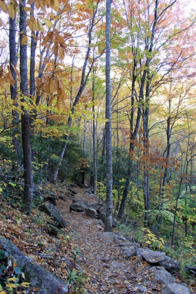 Осень в золоте и багрянце не стеснялась восхищать. Blue Ridge Parkway. 18-22 октября 2016 года.