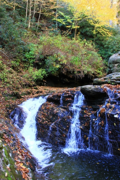 Осень в золоте и багрянце не стеснялась восхищать. Blue Ridge Parkway. 18-22 октября 2016 года.