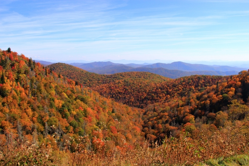 Осень в золоте и багрянце не стеснялась восхищать. Blue Ridge Parkway. 18-22 октября 2016 года.