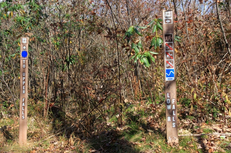 Осень в золоте и багрянце не стеснялась восхищать. Blue Ridge Parkway. 18-22 октября 2016 года.