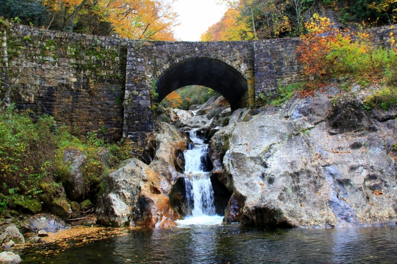 Осень в золоте и багрянце не стеснялась восхищать. Blue Ridge Parkway. 18-22 октября 2016 года.