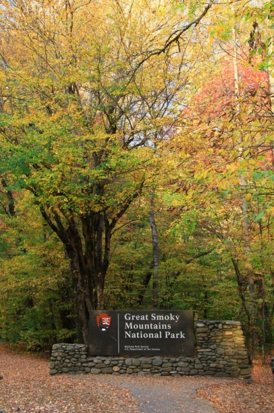 Осень в золоте и багрянце не стеснялась восхищать. Blue Ridge Parkway. 18-22 октября 2016 года.