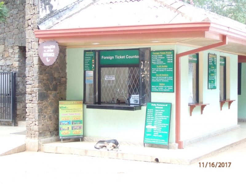 Помогите с маршрутом (Хиккадува-Пинавелла-Канди-Пик Адама-Элла-Хиккадува)