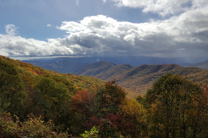 Осень в золоте и багрянце не стеснялась восхищать. Blue Ridge Parkway. 18-22 октября 2016 года.