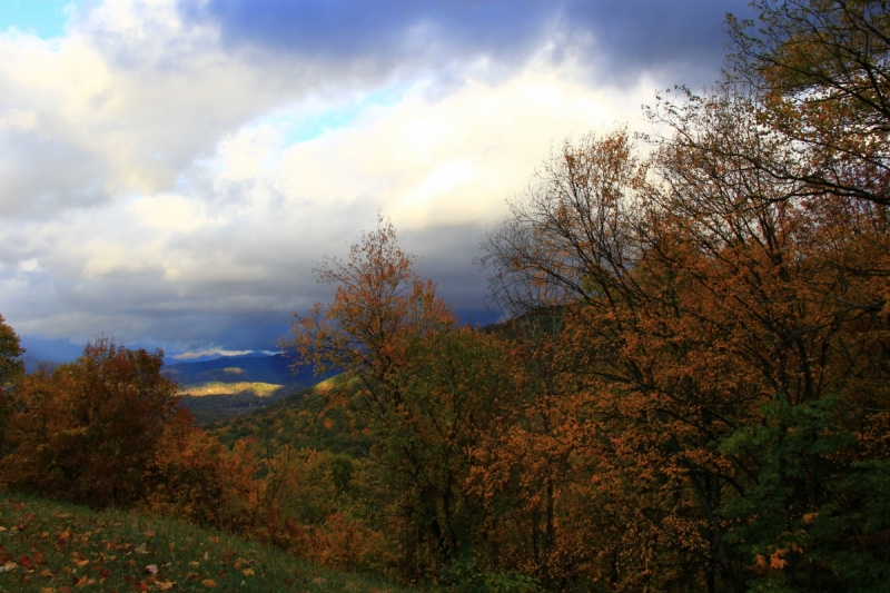 Осень в золоте и багрянце не стеснялась восхищать. Blue Ridge Parkway. 18-22 октября 2016 года.