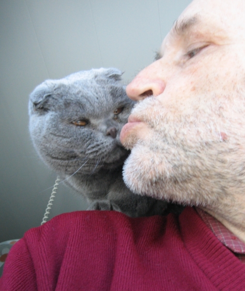 Кошки в нашей жизни. Кошки и все, что с ними связано.