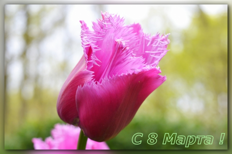 Путешествие в барокко. Неаполь, Апулия, Гросклоккнер, Зальцбург и немного Чехии. 2017.