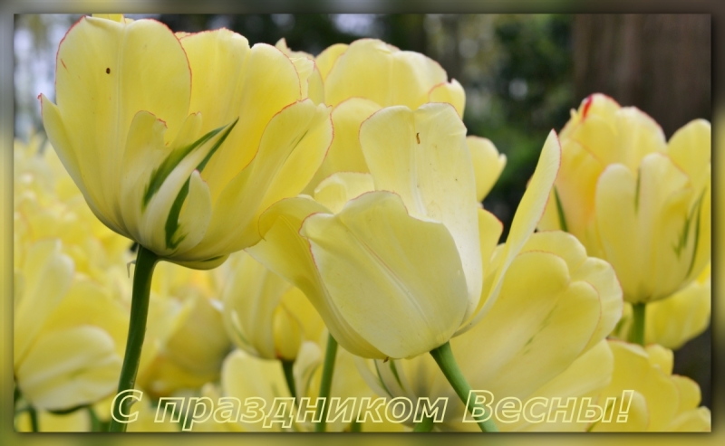 Сказка «12 месяцев», или Зальцбург и окрестности в апреле-мае 2017