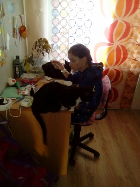 Кошки в нашей жизни. Кошки и все, что с ними связано.