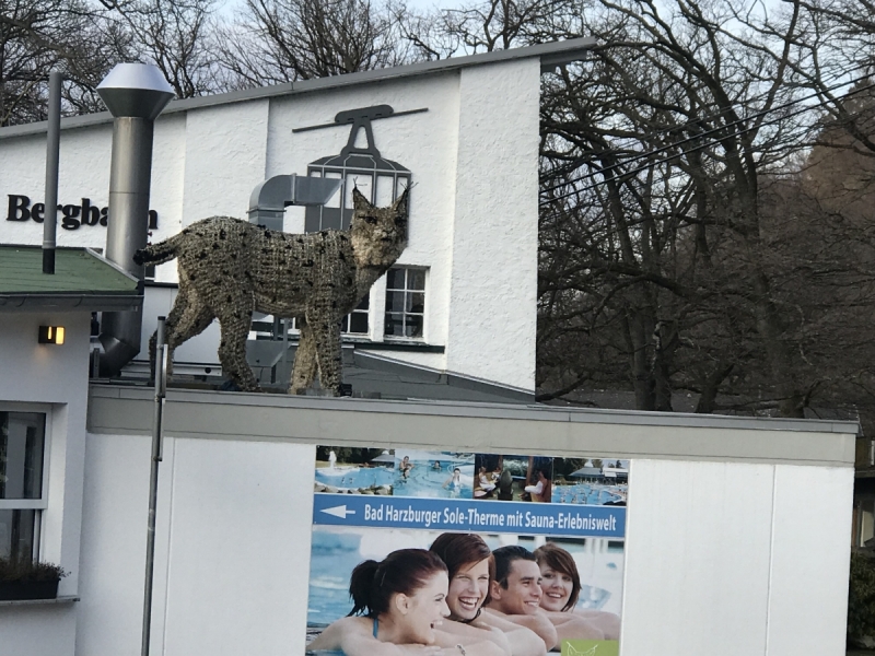 Калининград - Бад-Лаутерберг: тур "выходного дня" в  Гарце.