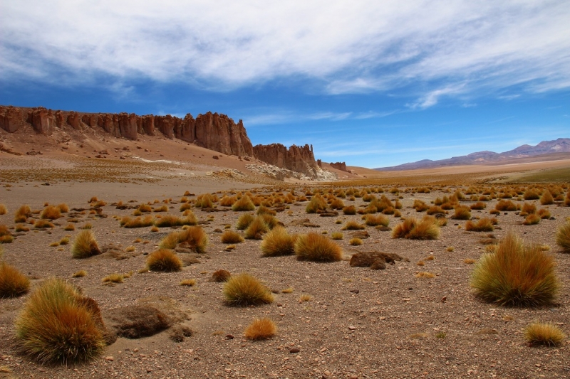 Чили в январе: очень далекое и очень красивое! Пустыня Атакама, немного Озерный край и кусочек Патагонии. Координаты прилагаются.