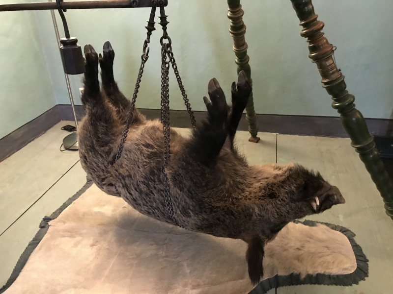 Калининград - Бад-Лаутерберг: тур "выходного дня" в  Гарце.