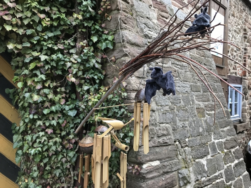 Калининград - Бад-Лаутерберг: тур "выходного дня" в  Гарце.