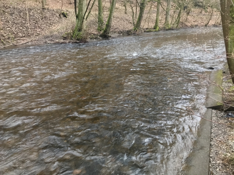Калининград - Бад-Лаутерберг: тур "выходного дня" в  Гарце.
