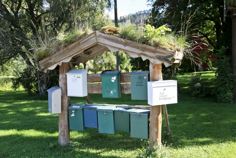 Дорога к Буде