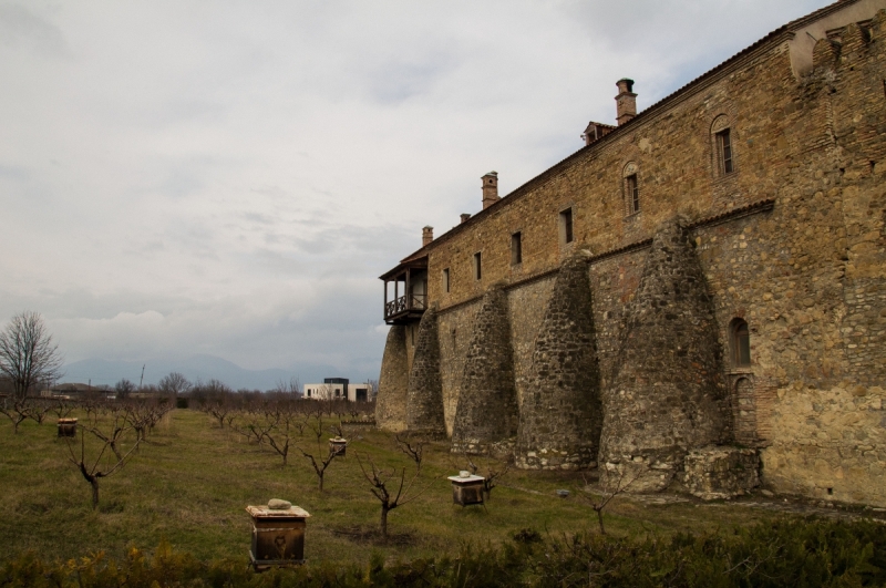 25 фев - 5 мар 2018 Тбилиси - Казбеги - Кахетия - Боржоми с годовалым малышом. Фото+маршруты+цены +лайфках по провозу бутылок вина