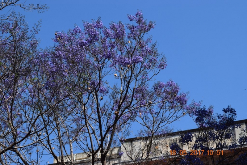 Италия от Венеции до Сиракузы за 15 дней на самолётах, поездах, паромах, автобусе и автомобиле.