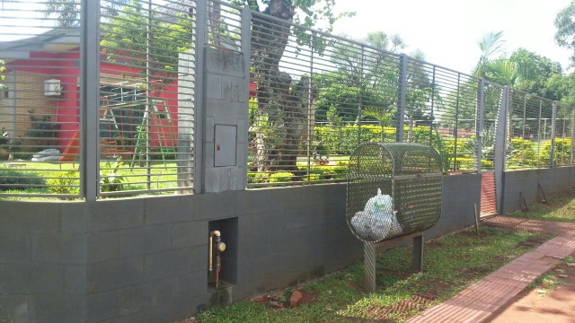 Парагвай. Моя жизнь в Hohenau