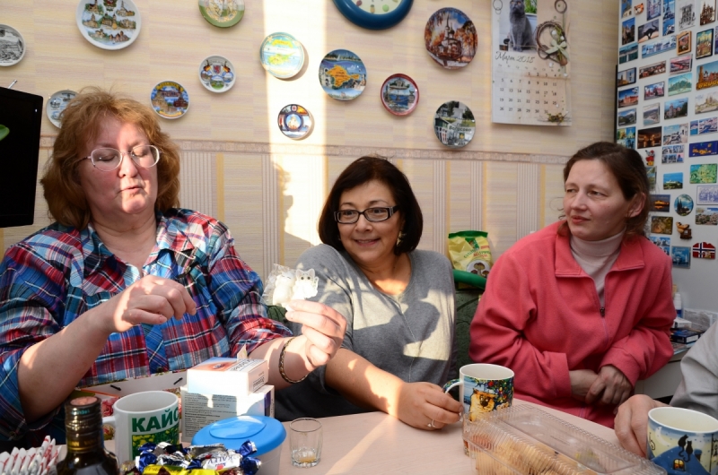 Кошки в нашей жизни. Кошки и все, что с ними связано.