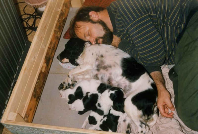 Кошки в нашей жизни. Кошки и все, что с ними связано.