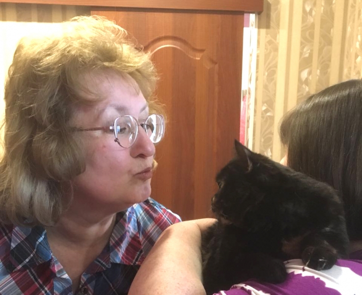 Кошки в нашей жизни. Кошки и все, что с ними связано.