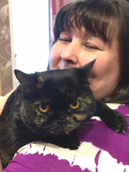 Кошки в нашей жизни. Кошки и все, что с ними связано.