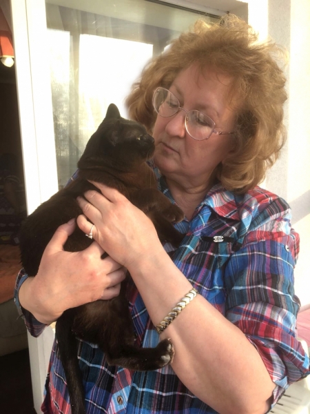 Кошки в нашей жизни. Кошки и все, что с ними связано.