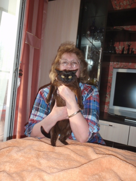 Кошки в нашей жизни. Кошки и все, что с ними связано.